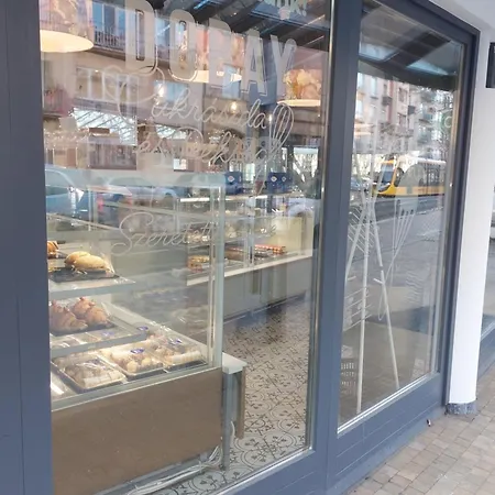 Budaiapertment Daire Budapeşte